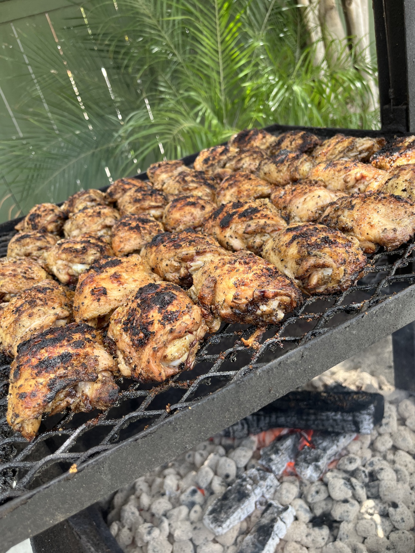 Charcoal Grilled Chicken